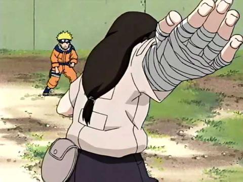 Naruto vs. Neji